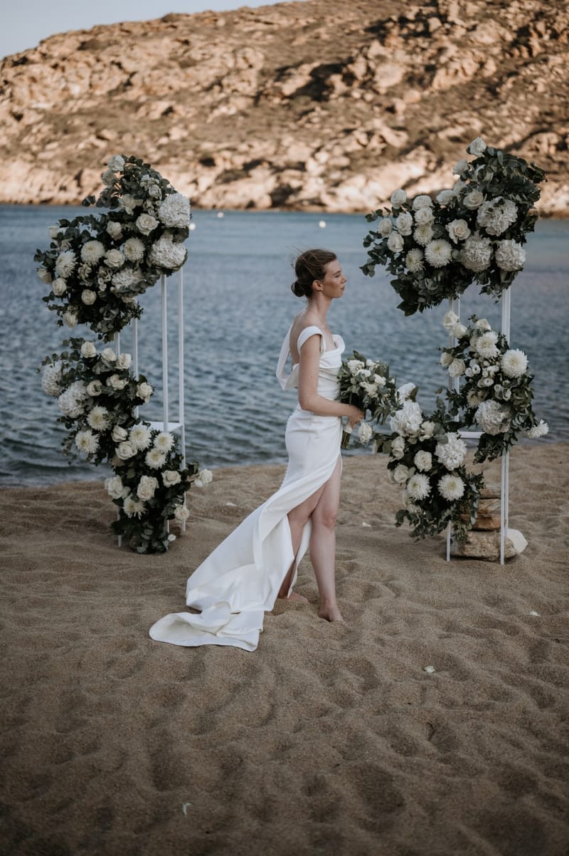 Caitlin & Mike Elopement in Ios