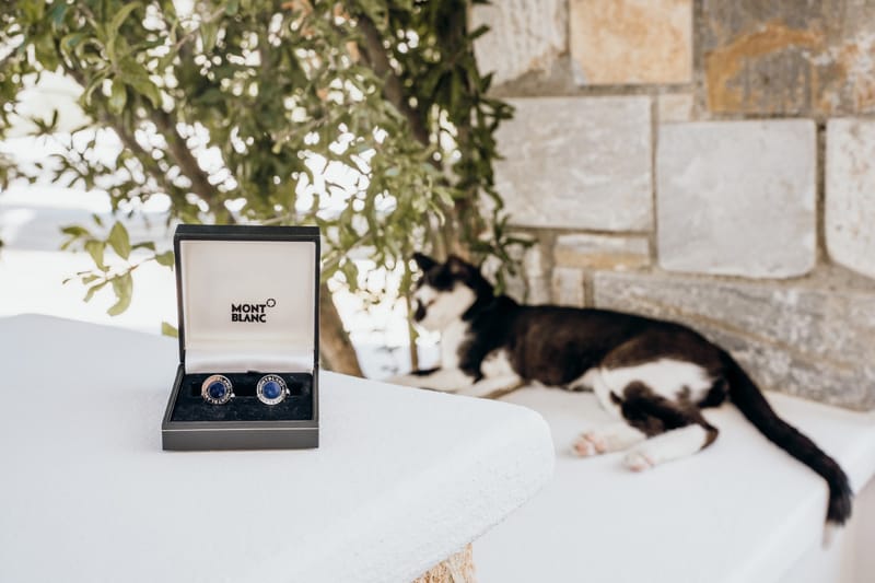 Sofia & Panos Wedding in Ios