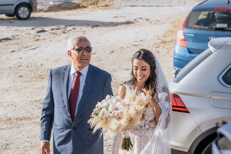 Sofia & Panos Wedding in Ios