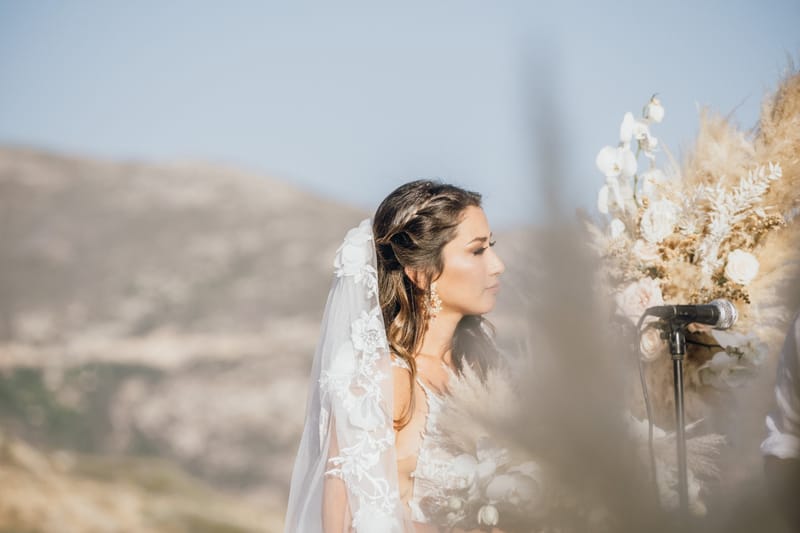 Sofia & Panos Wedding in Ios