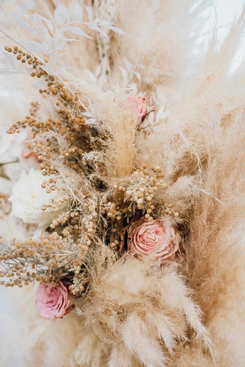 Sofia & Panos Wedding in Ios