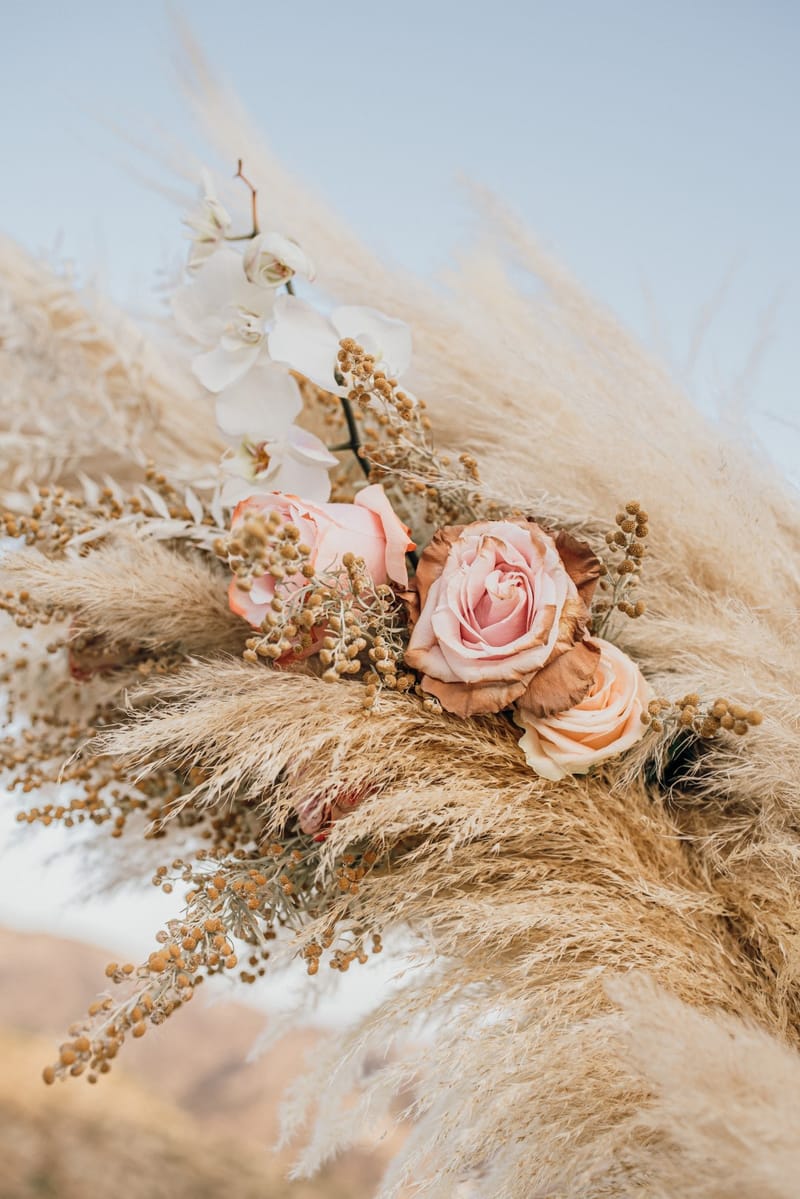 Sofia & Panos Wedding in Ios