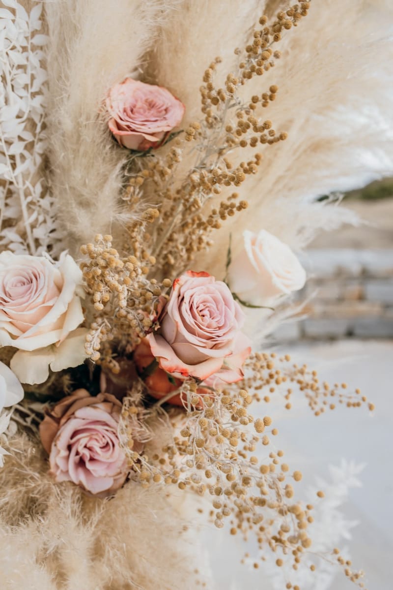 Sofia & Panos Wedding in Ios