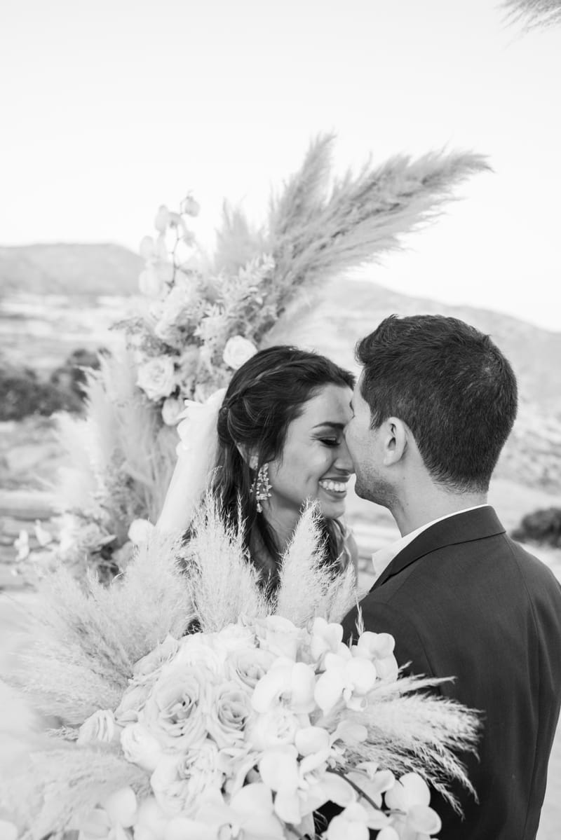 Sofia & Panos Wedding in Ios