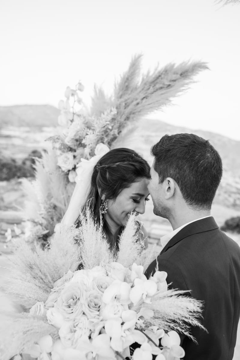 Sofia & Panos Wedding in Ios