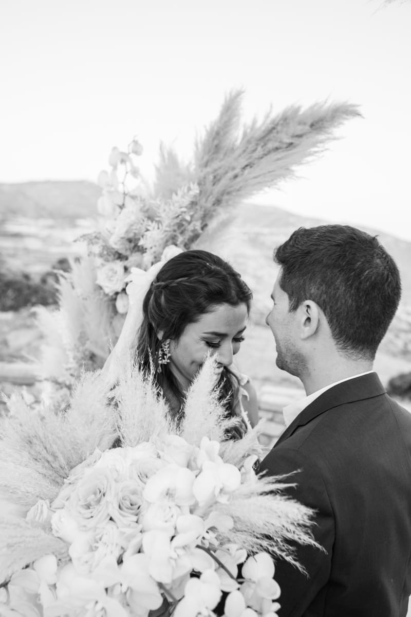 Sofia & Panos Wedding in Ios