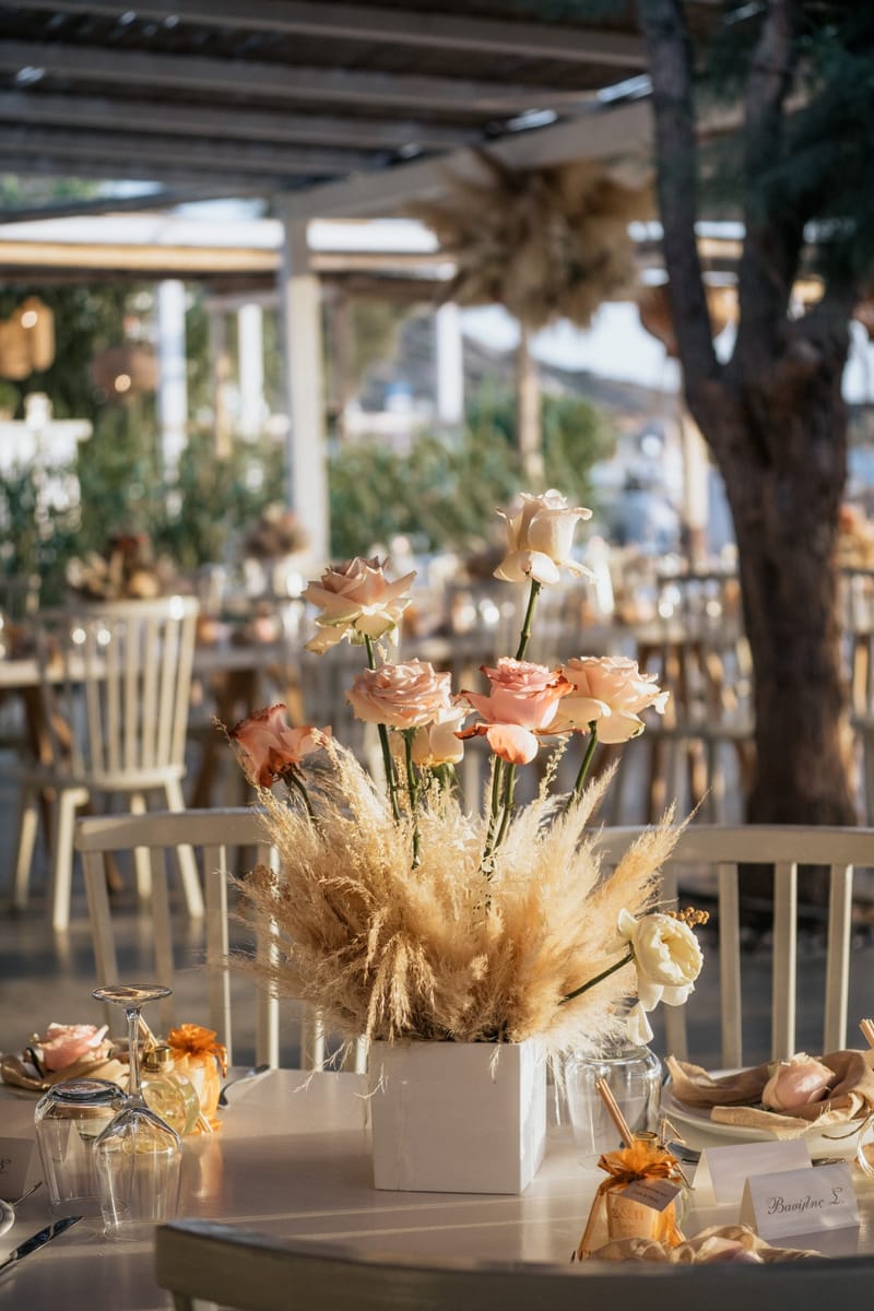 Sofia & Panos Wedding in Ios