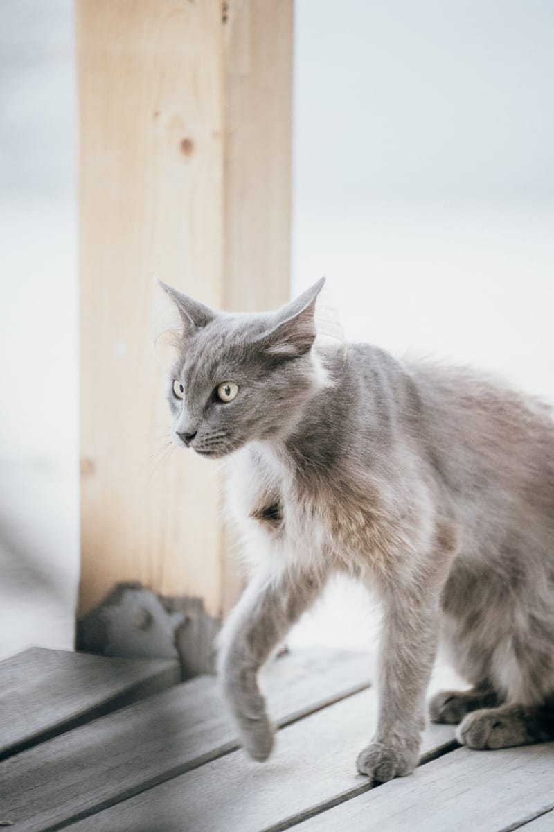 Sofia & Panos Wedding in Ios