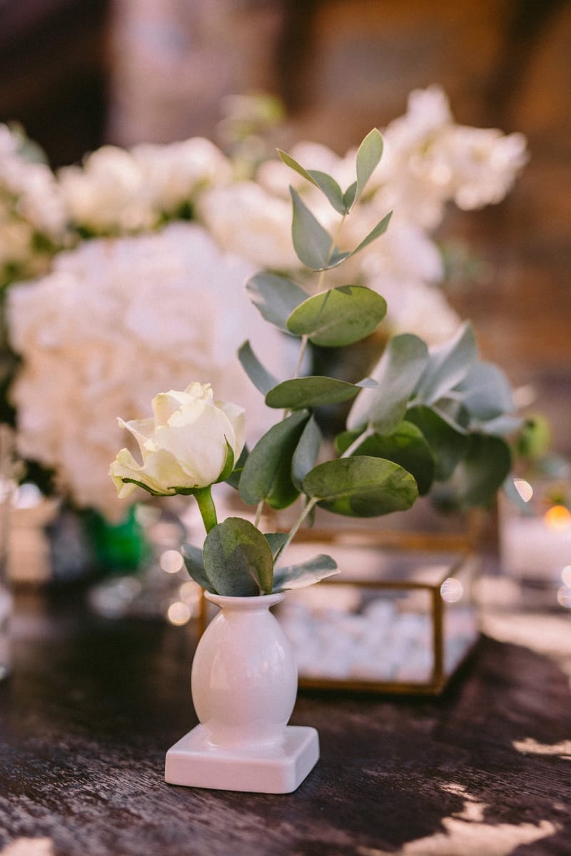 S&R Afgan Wedding in Evia