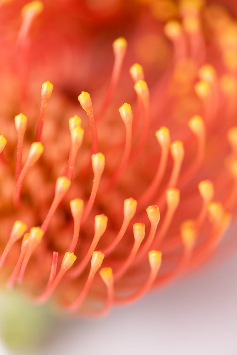 Luxury colorful Wedding in the Athenian Riviera