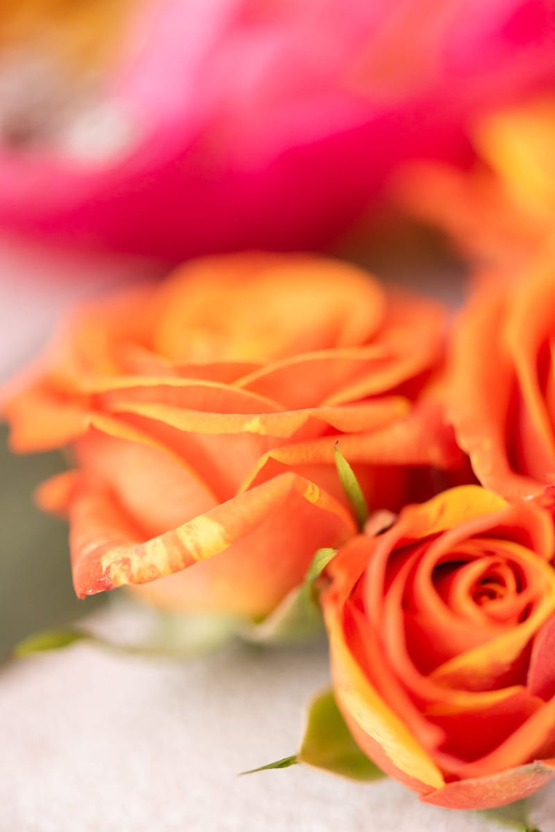 Luxury colorful Wedding in the Athenian Riviera