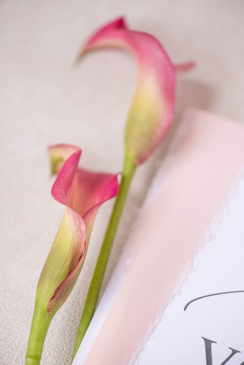 Luxury colorful Wedding in the Athenian Riviera