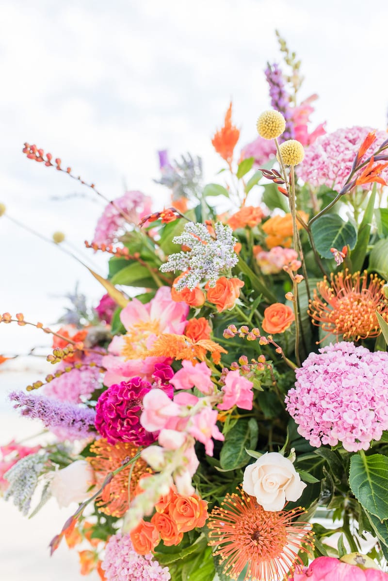 Ceremony & Reception