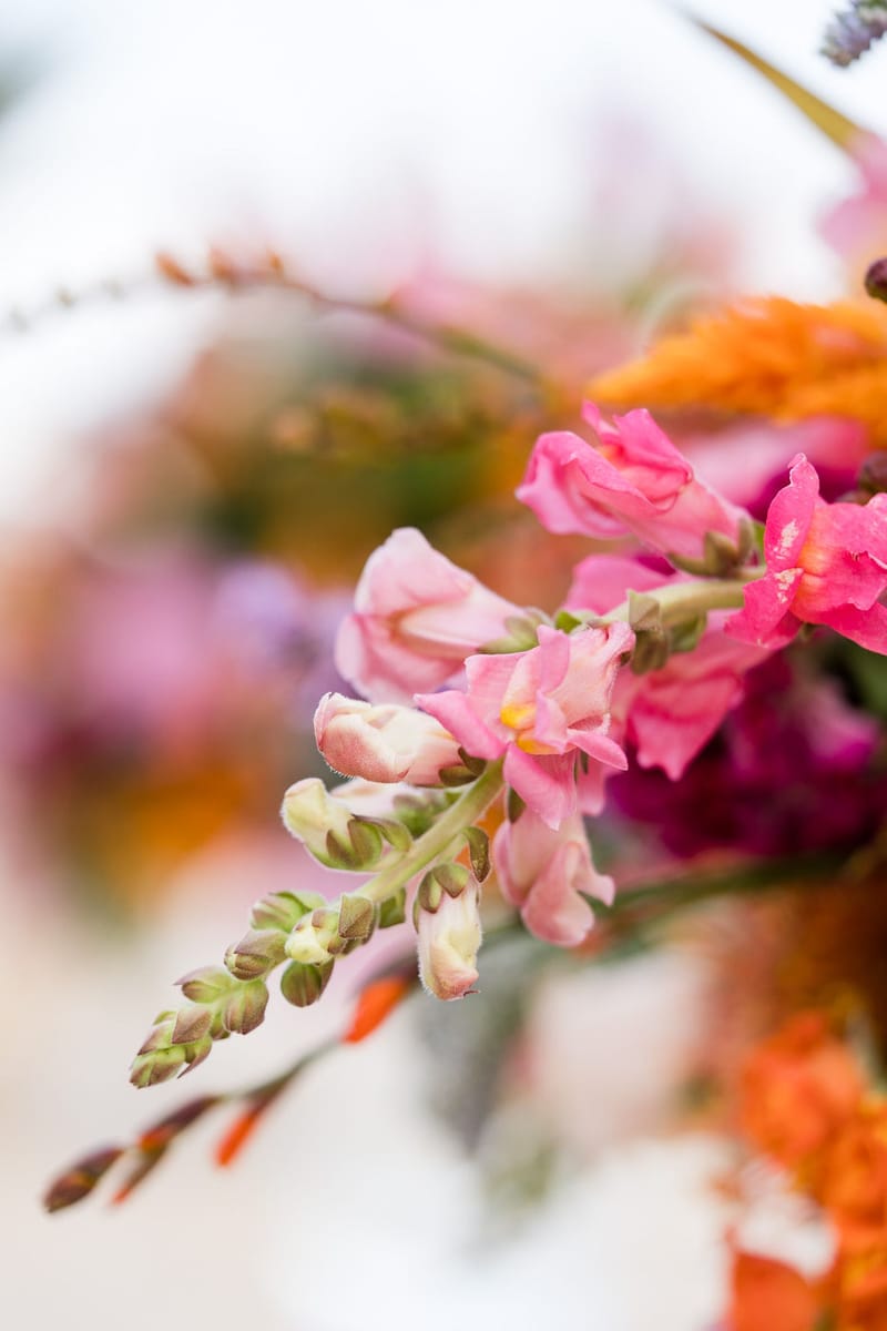 Ceremony & Reception