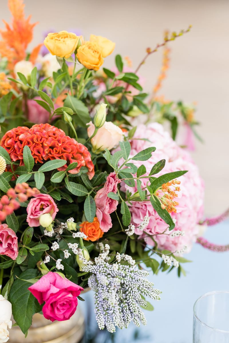 Ceremony & Reception