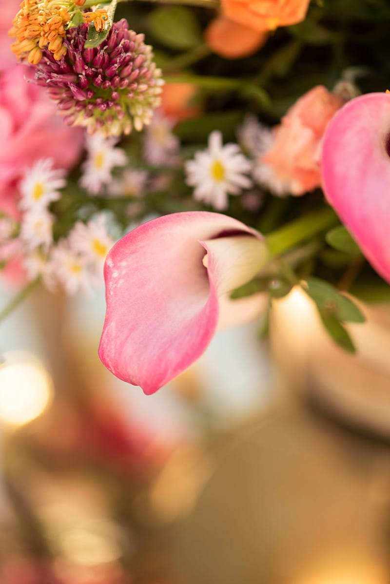 Ceremony & Reception