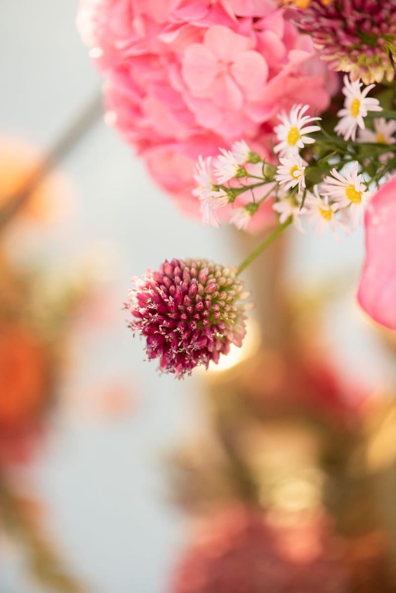 Ceremony & Reception