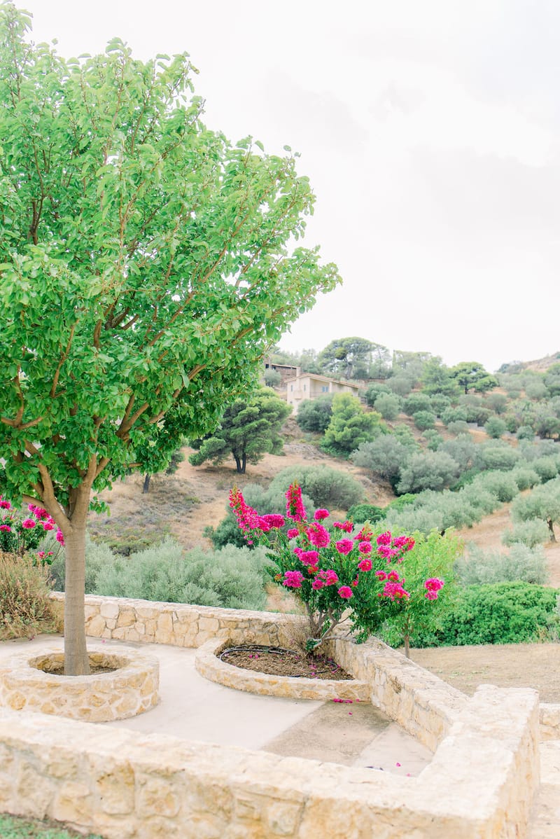 Marina & Dan Prewedding Party in Athens Villa