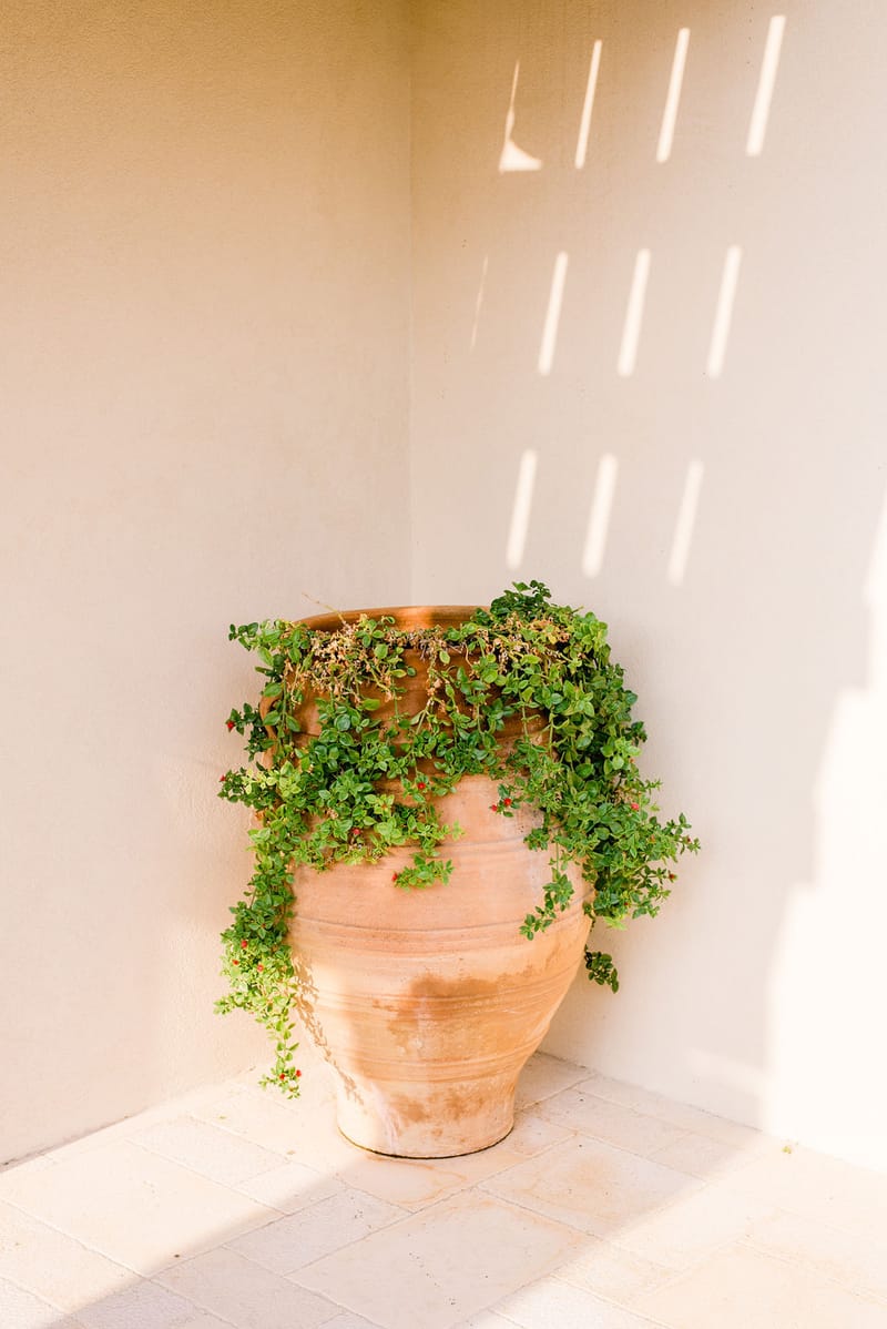 Marina & Dan Prewedding Party in Athens Villa