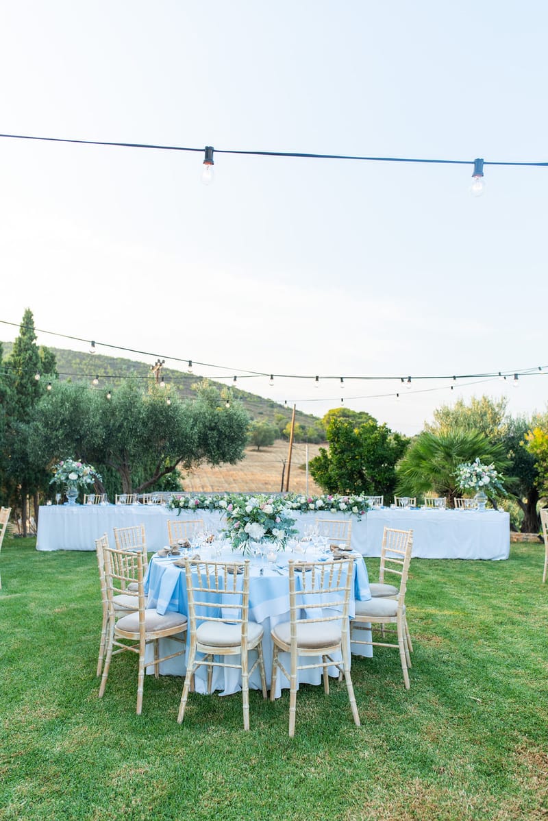 Reception and Party