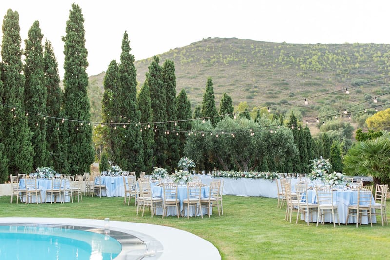 Reception and Party