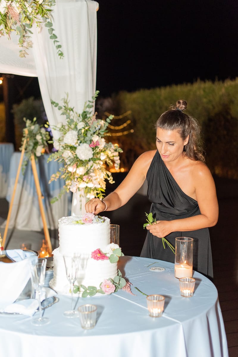 Reception and Party