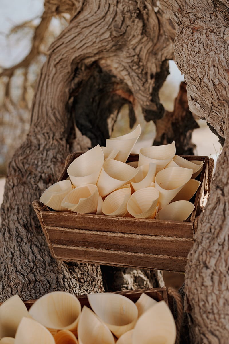 Tania & Kostas Bohemian Wedding in Paros