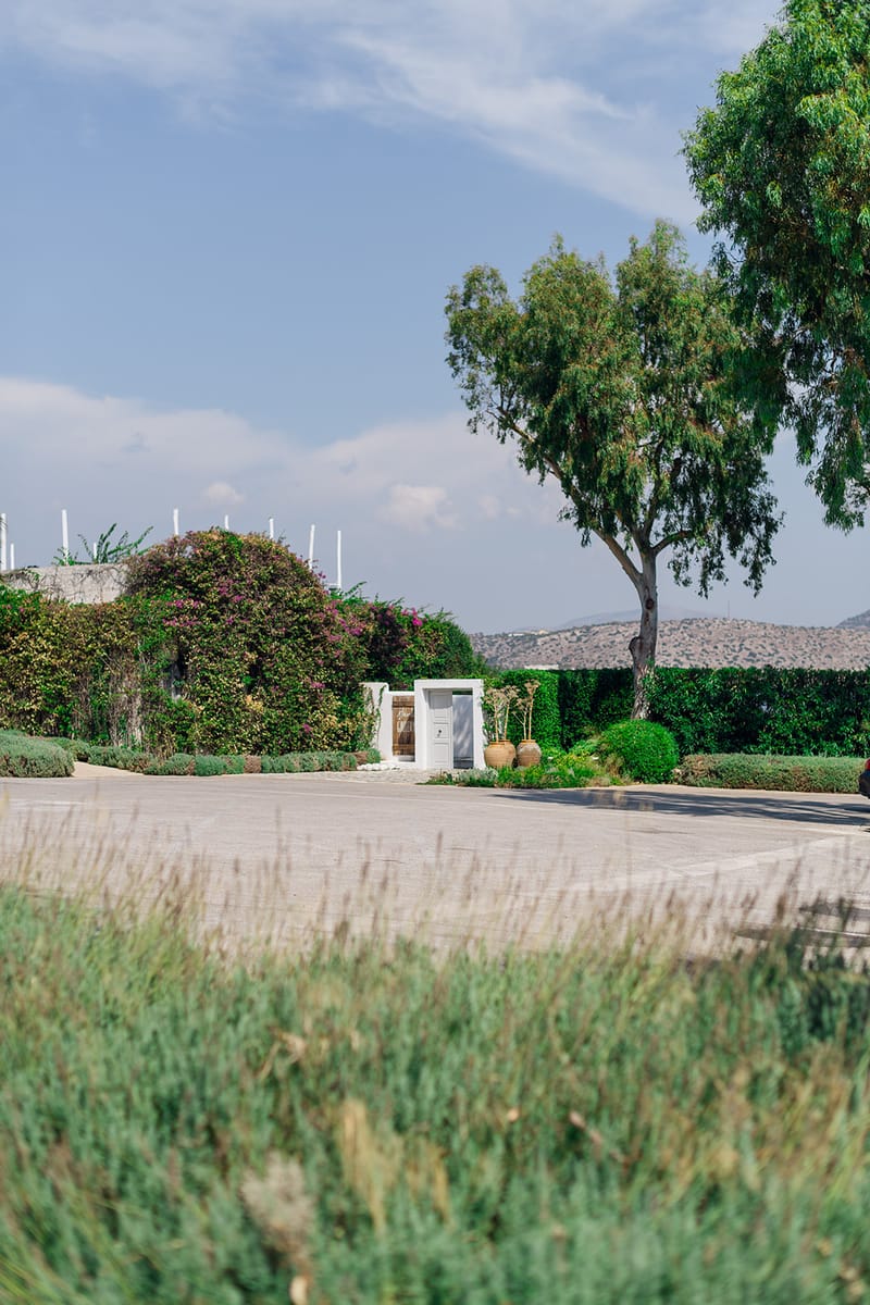 Carolina & Michael Wedding in Athenian RIviera