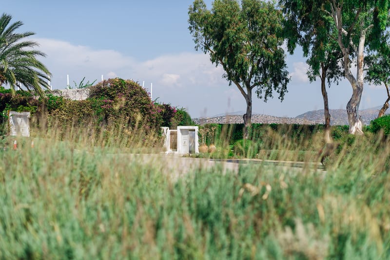 Carolina & Michael Wedding in Athenian RIviera