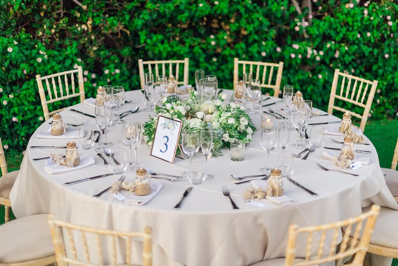 Carolina & Michael Wedding in Athenian RIviera