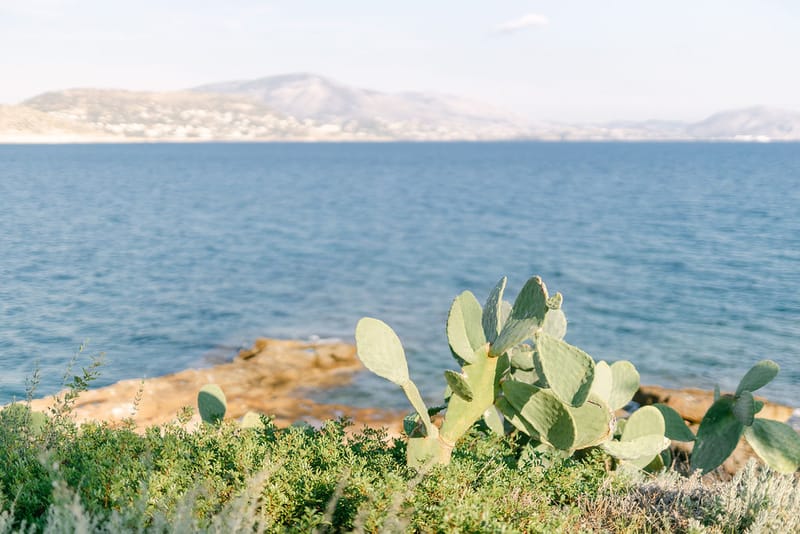 Simona  & Dominic Wedding in the Athenian Riviera