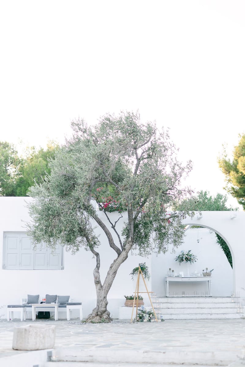 Simona  & Dominic Wedding in the Athenian Riviera