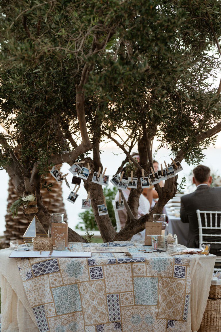 Coktail Hour and Reeption