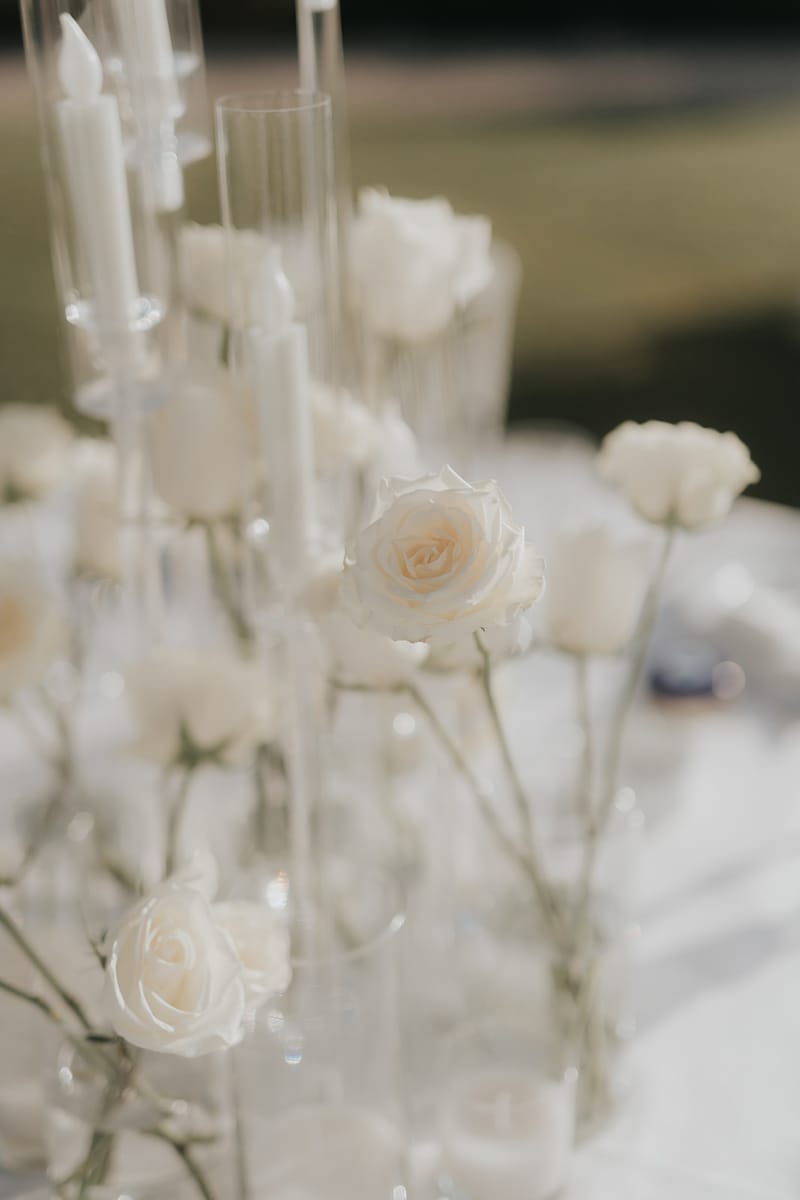 Helen and Aron's White Wedding in Athens 