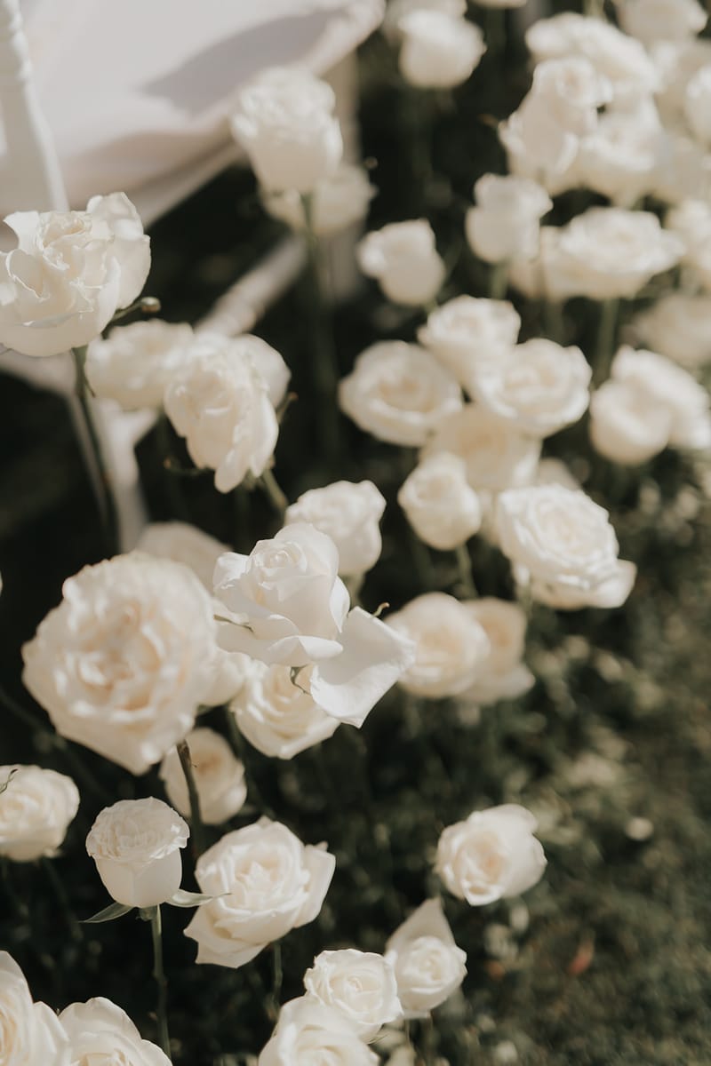 Helen and Aron's White Wedding in Athens 