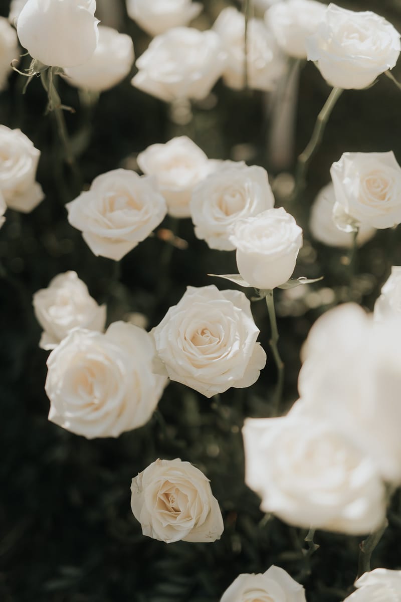 Helen and Aron's White Wedding in Athens 