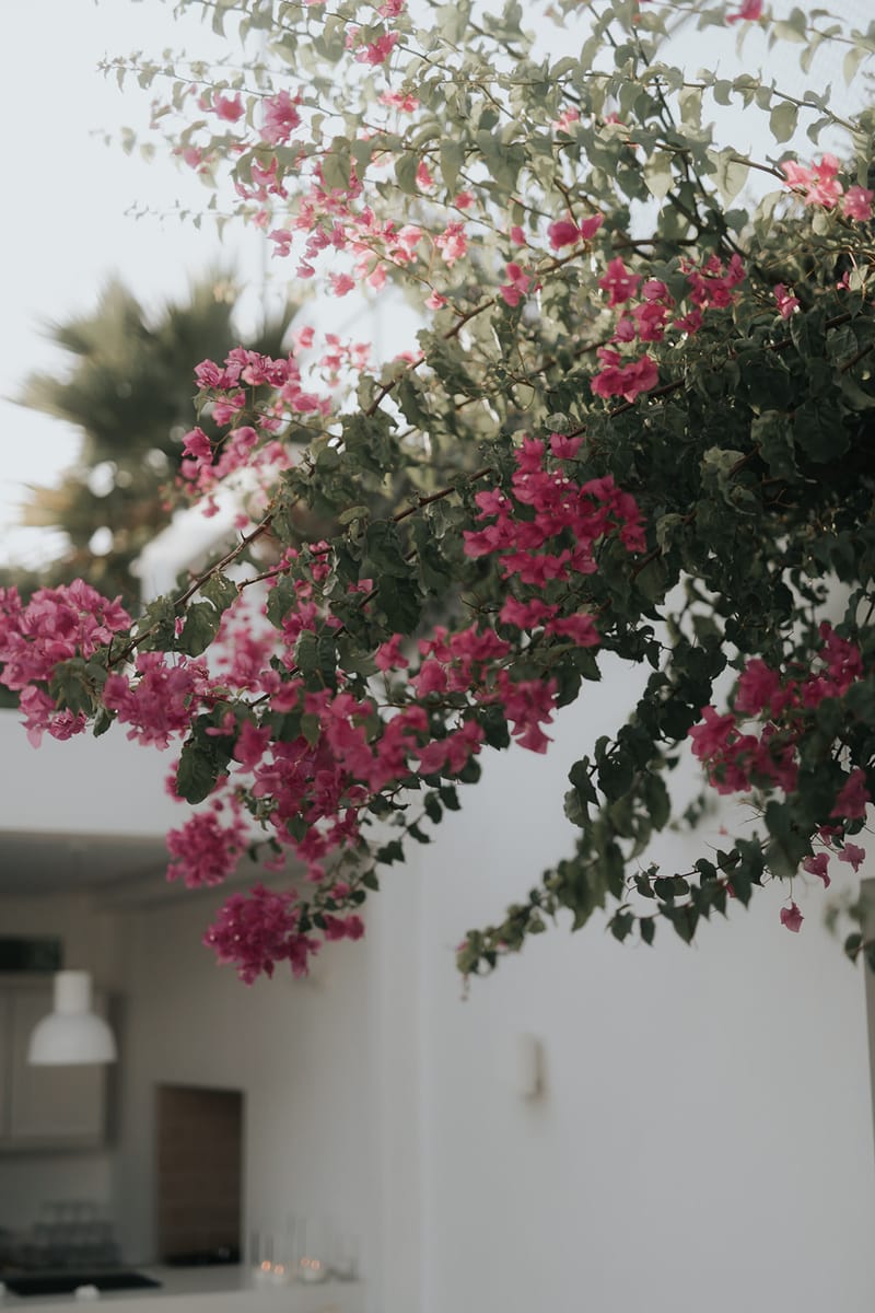 Helen and Aron's White Wedding in Athens 
