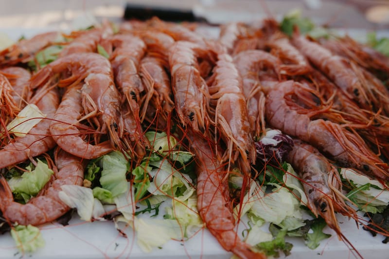 Aimee & Seymour Wedding at the Pyrgos Melissourgou