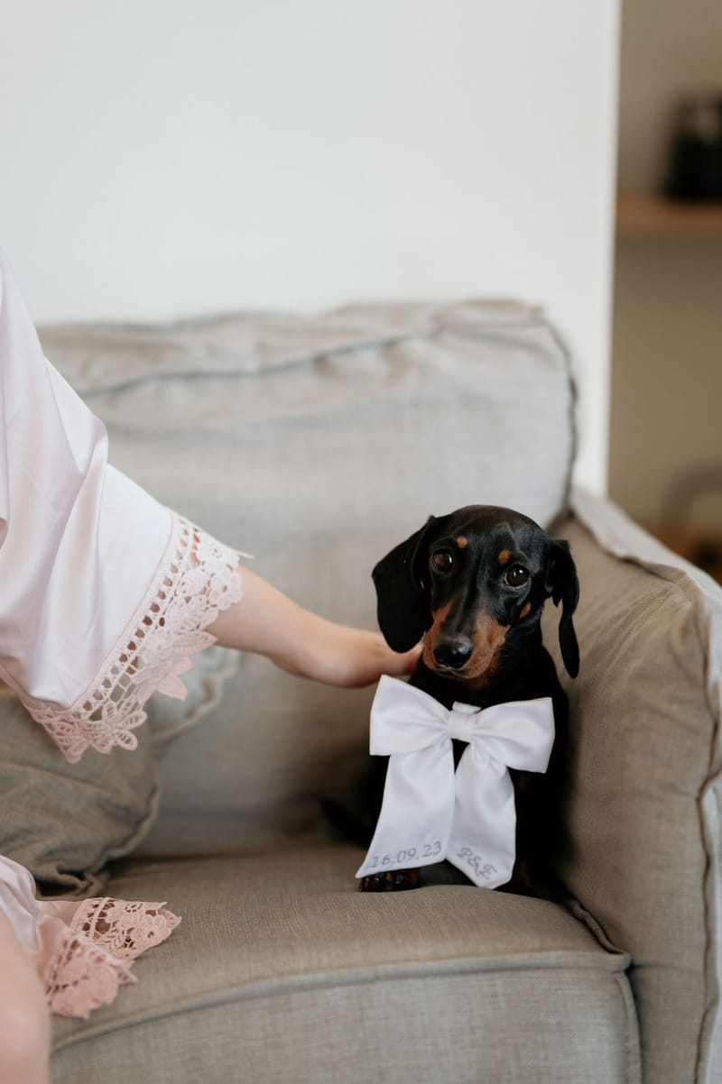 Eliana & Peter Bohemian wedding in Ios