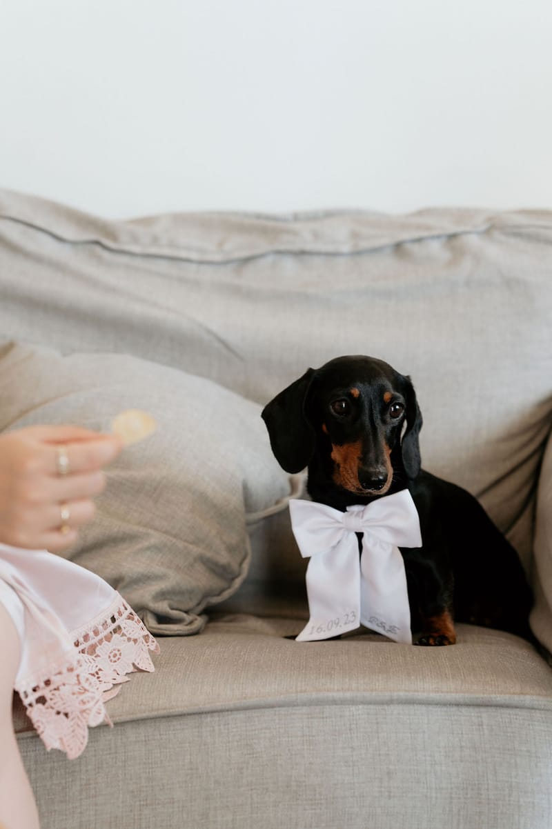 Eliana & Peter Bohemian wedding in Ios