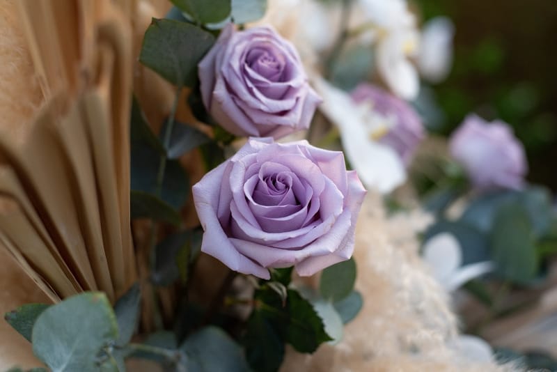 Anna and Nicolas Weddings in the Athenian Riviera