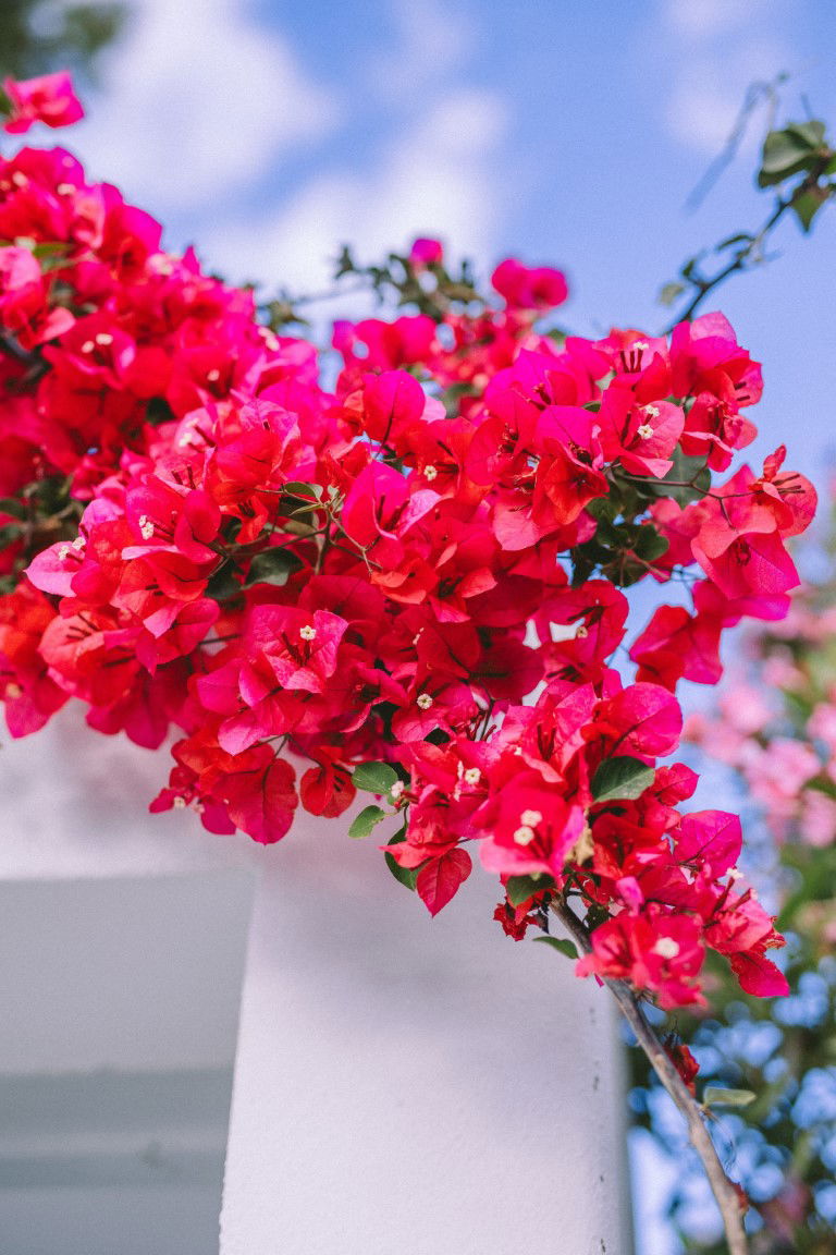 Chelsea & Brian Wedding at the Athenian Riviera