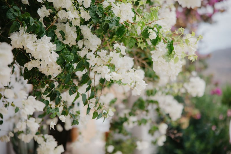 Rosie & Jordan Wedding in Ios Island