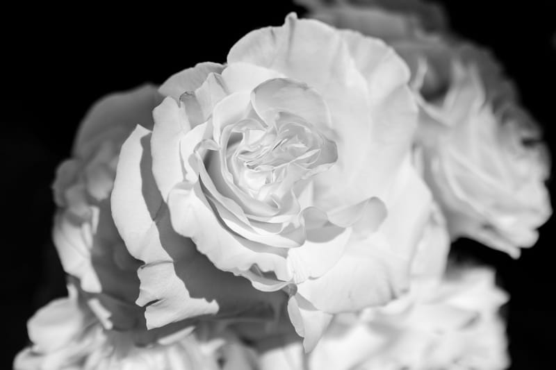 Rosie & Jordan Wedding in Ios Island