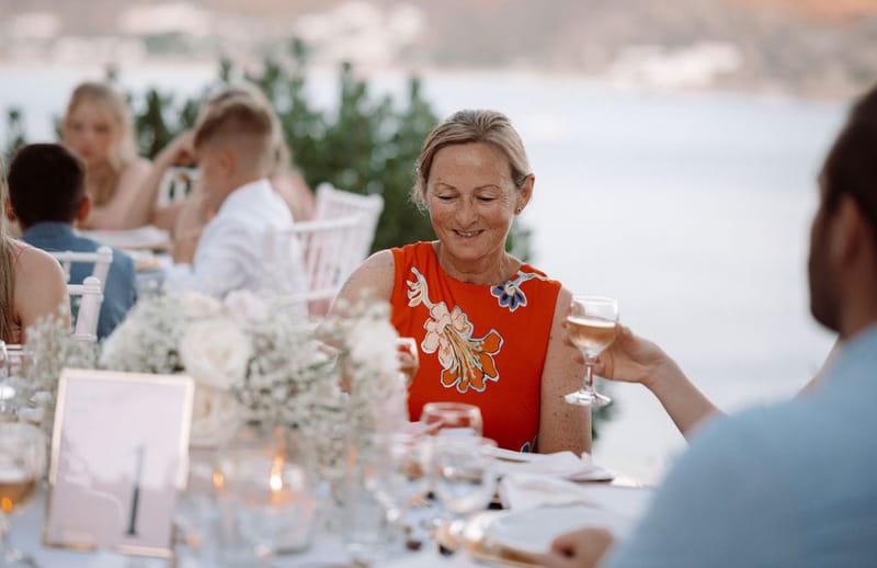 The dinner and toasts