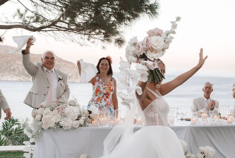 The dinner and toasts