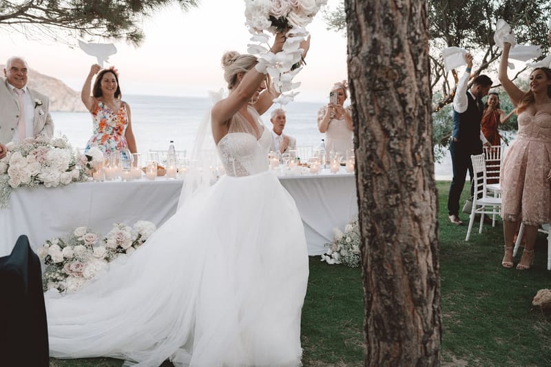 The dinner and toasts