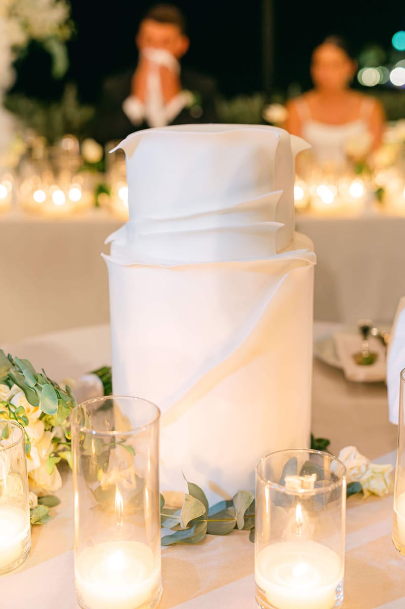 RECEPTION SPEECHES AND PARTY