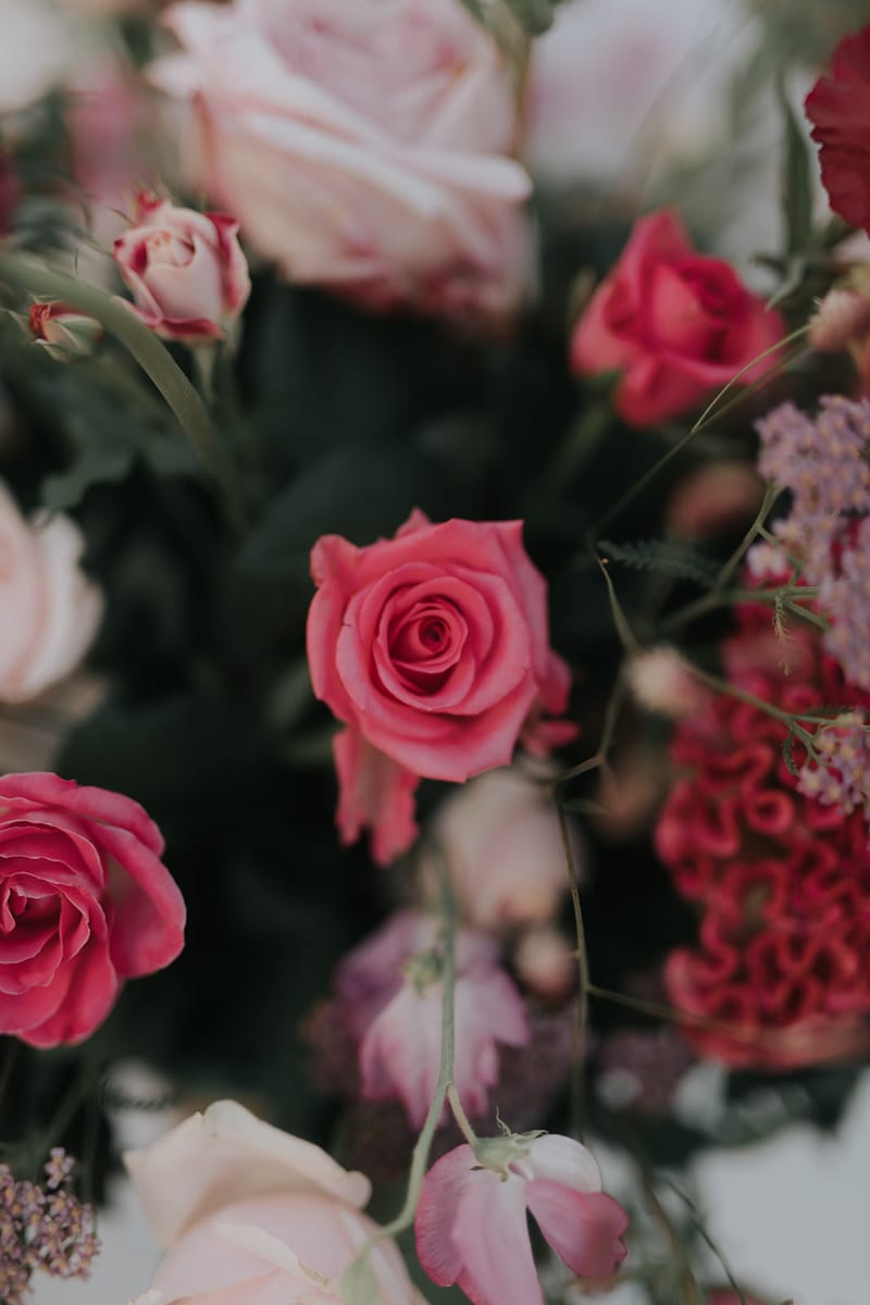 Residence Venue Set up