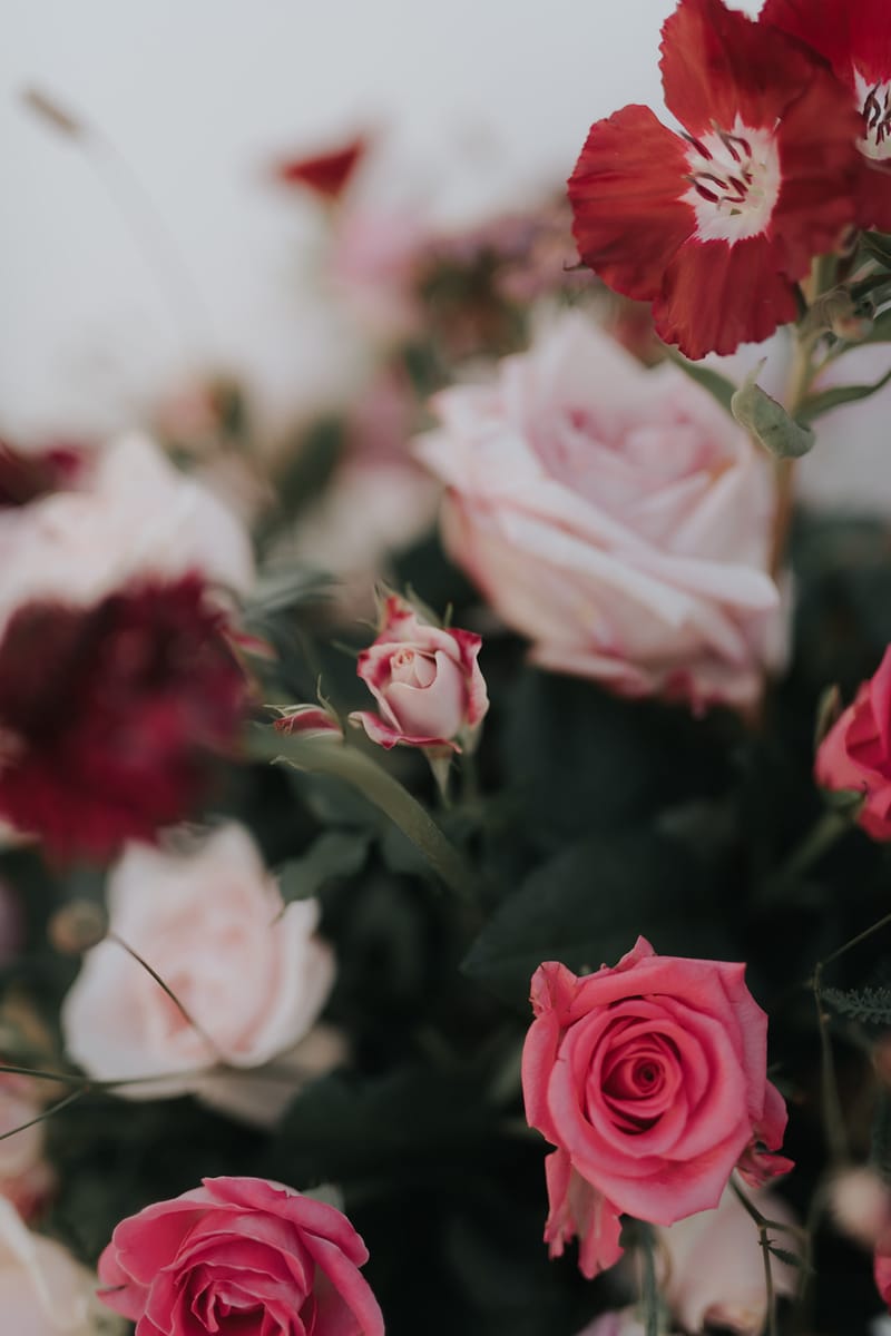 Residence Venue Set up